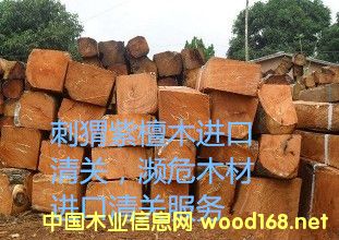 �����̴ľ�lΣ�C