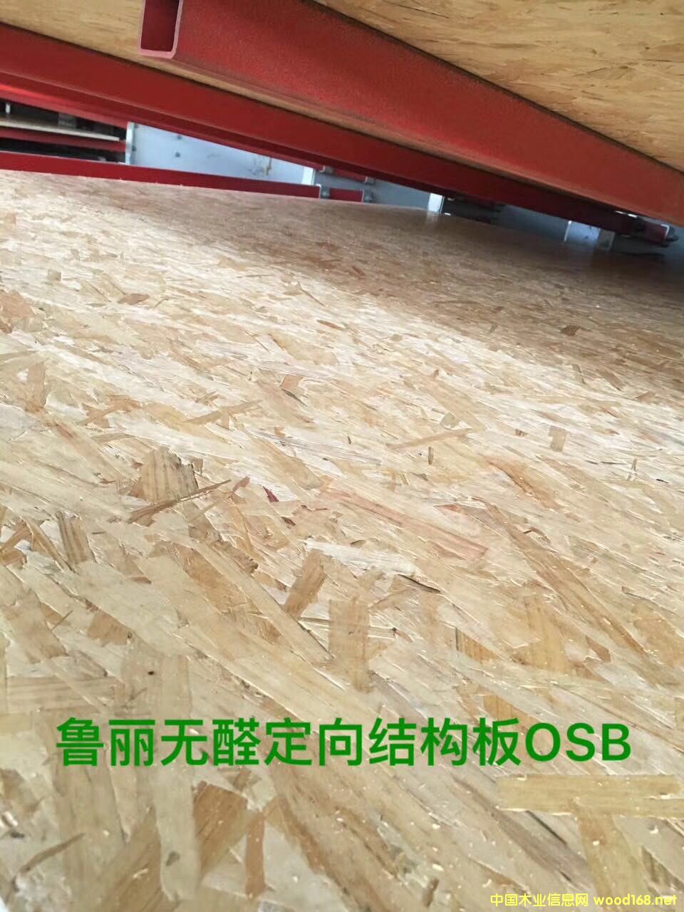 �����W�ɰ��Ԕ����B