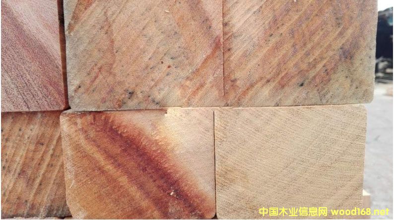 ���޲��}�����l(f��)�r�� ���޲��}���r