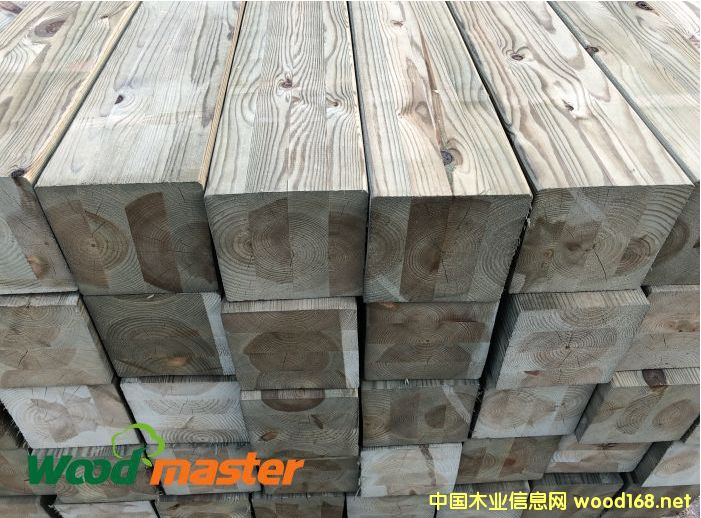 ���mľ�S��  ���mľ�����Xһ��