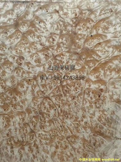 ��(y��u)�|(zh��)��Ȼɽ�������ľƤ