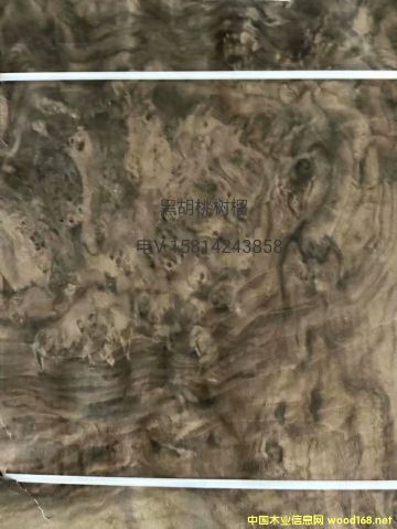 ��(y��u)�|(zh��)��Ȼ�ں��Ҙ���ľƤ