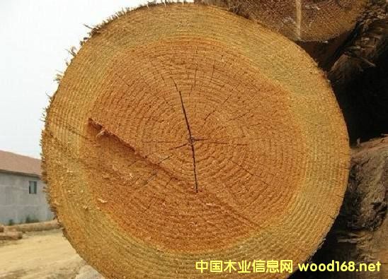 ľ�İٿƣ����������ɲ����ı���ܛľ��N